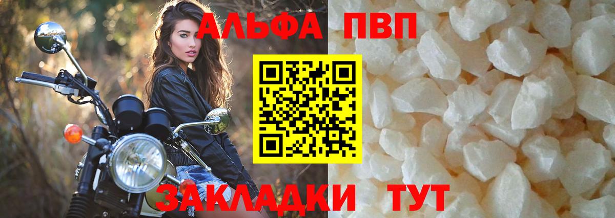 Альфа ПВП Гусев