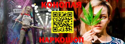 гашик Волгодонск